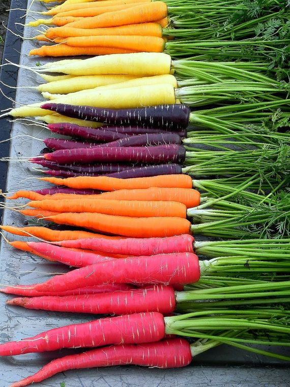 Spring vegetables