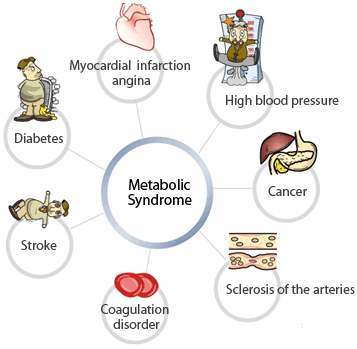 metabolic cycle